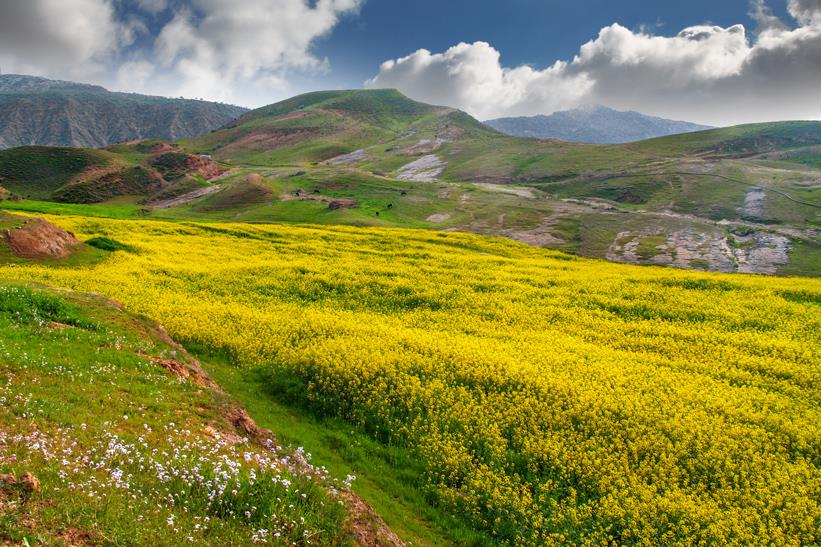 Iran's Nature 87